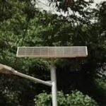 पंजाब में सोलर स्ट्रीट लाइट योजना को मंजूरी, गांवों में सुरक्षा और रोशनी बढ़ेगी!!